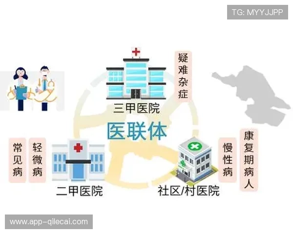 促进地区篮球均衡发展,资源整合推动共同进步与协同发展 促进地区篮球均衡发展,资源整合推动共同进步与协同发展